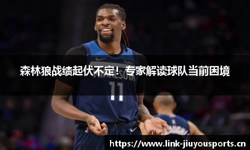 森林狼战绩起伏不定！专家解读球队当前困境